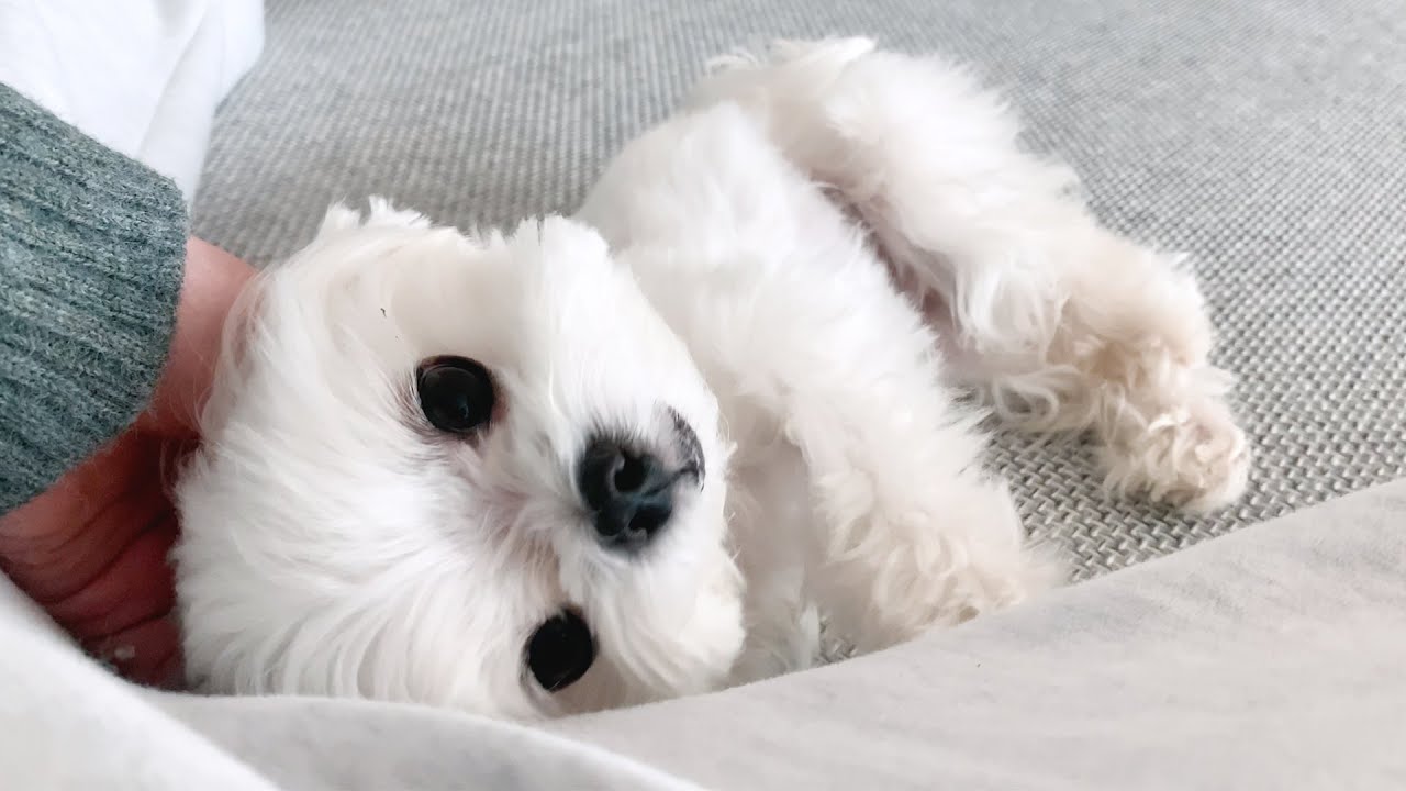 Что мне нравится!