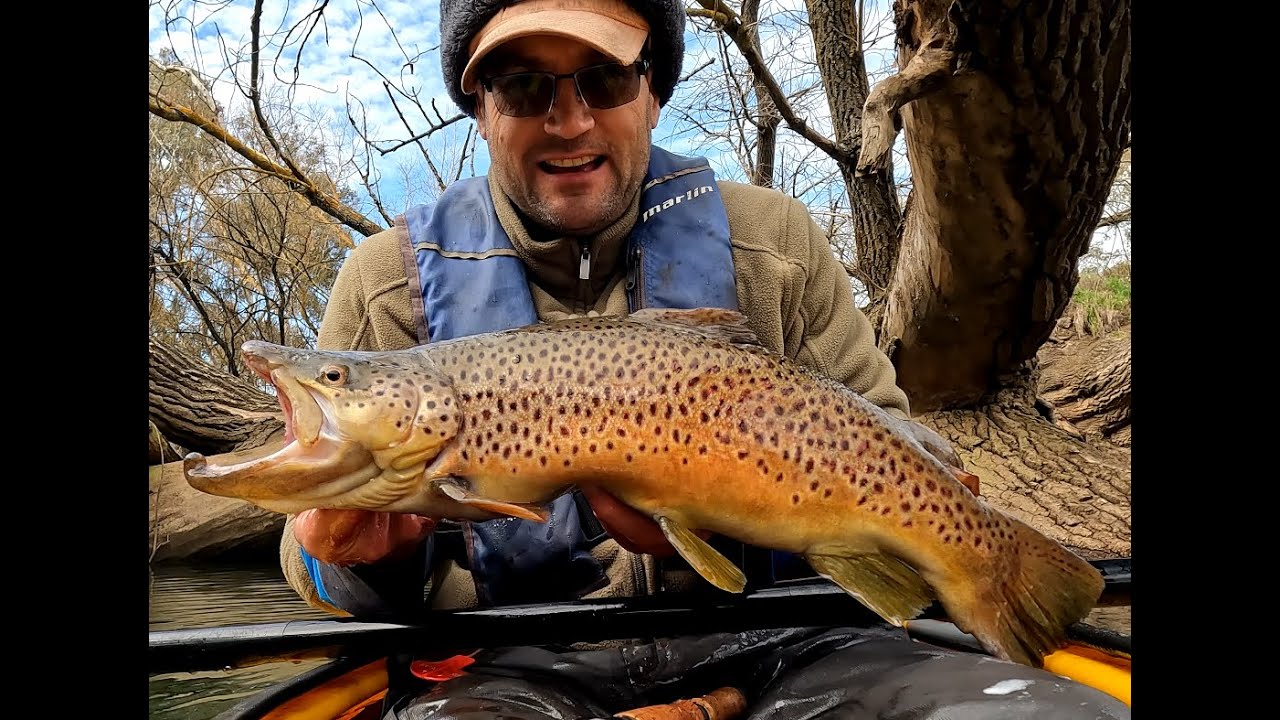 Goulburn River Trout Opening 2025