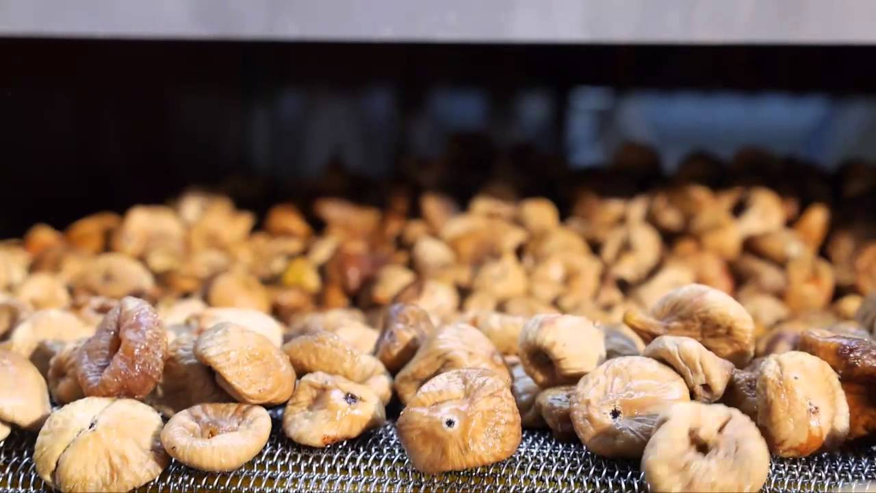 U'Fresh - İncir Üretimi Fabrikia Tanıtımı