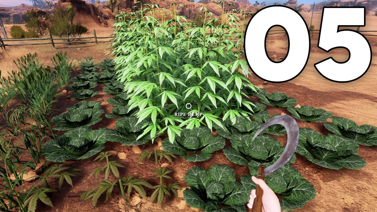 Cowboy Life Simulator - Part 5 - Farming for Major Profits