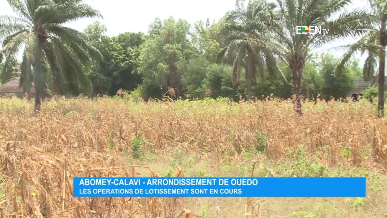 Abomey-Calavi – Arrondissement de Ouèdo : les opérations de lotissement sont en cours