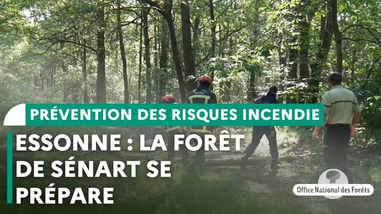 Essonne : La forêt de Sénart se prépare au risque d'incendie