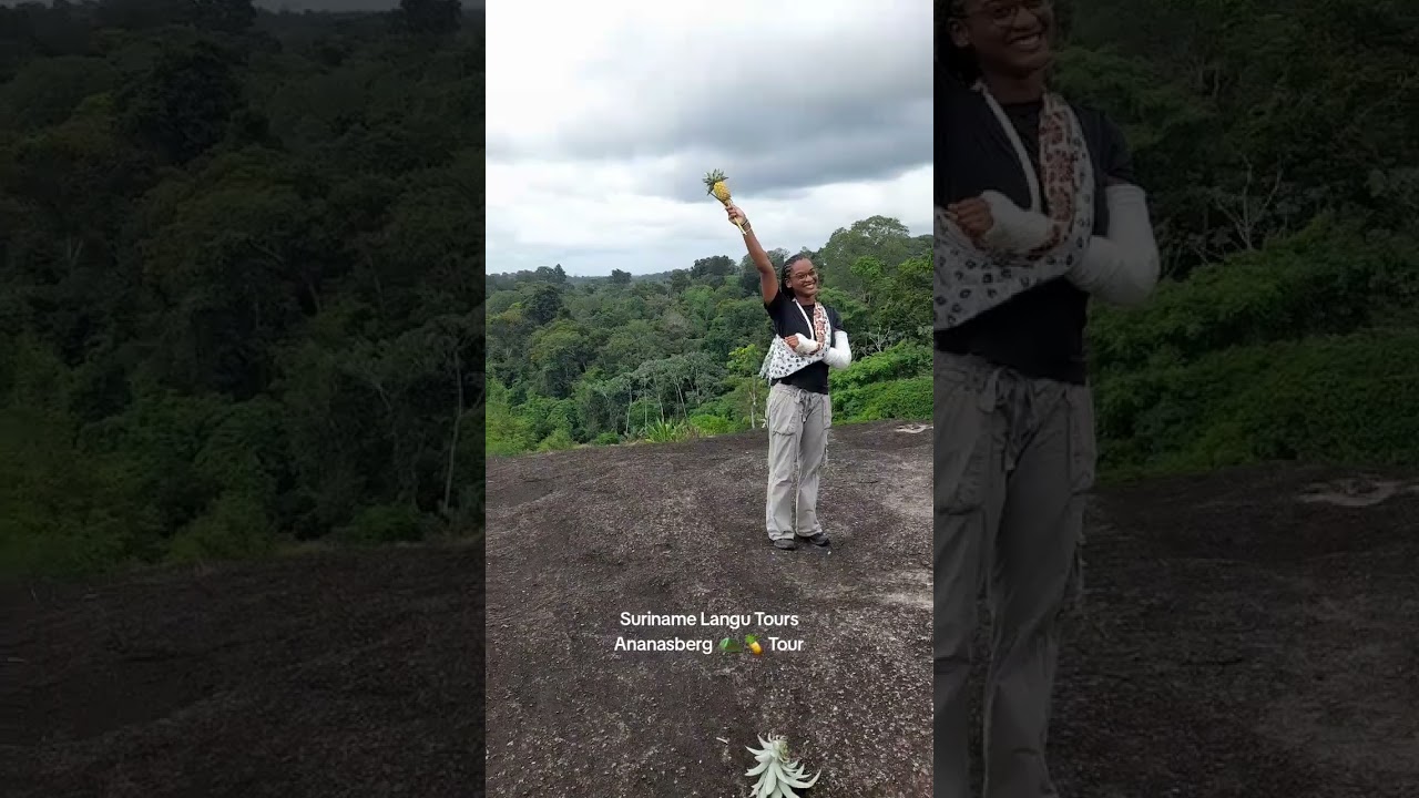 Berg in Suriname Ananasberg 🏔🍍 #sipaliwini #suriname #ananasberg #binnenland #tourguide #travel