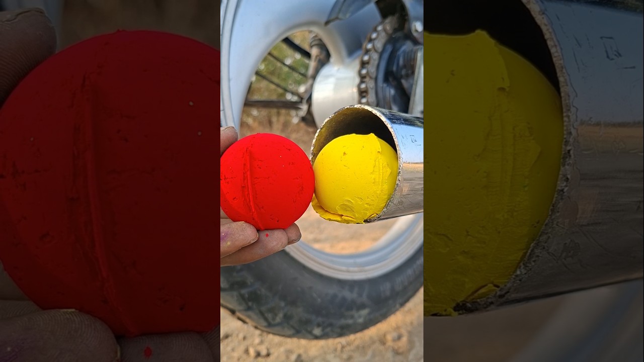 NEW HOLI 🚀🤣 #shorts #ytshorts #funny