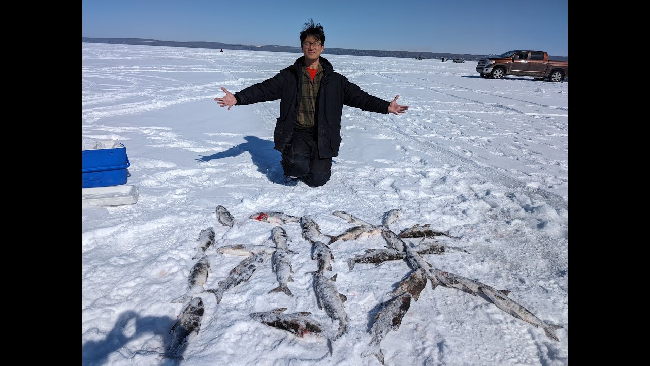2024 关湖之战 | Ice Fishing | 冰钓 | Whitefish | 白鱼 | Panoptix Livescope | Alberta | 阿尔伯塔 | Sylvan Lake