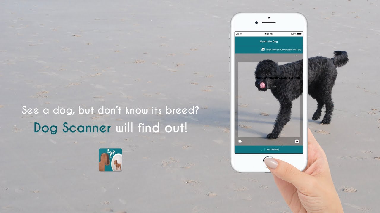Dog Scanner - #1 Dog Breed Identification