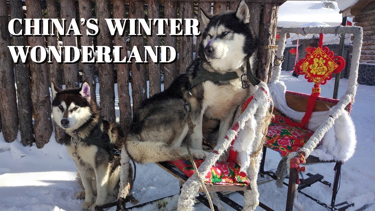 How to survive northeastern China’s harsh winters