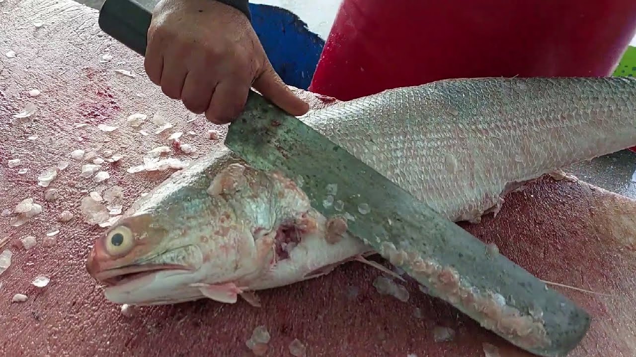 Fourfinger Threadfin Fillet