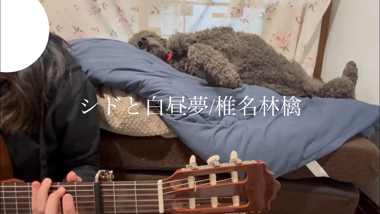 シドと白昼夢/椎名林檎　弾き語り