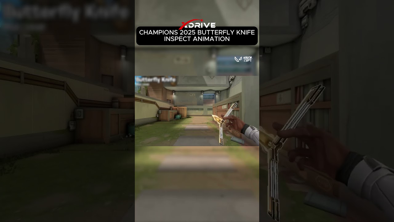 CHAMPIONS 2025 BUTTERFLY KNIFE INSPECT ANIMATION