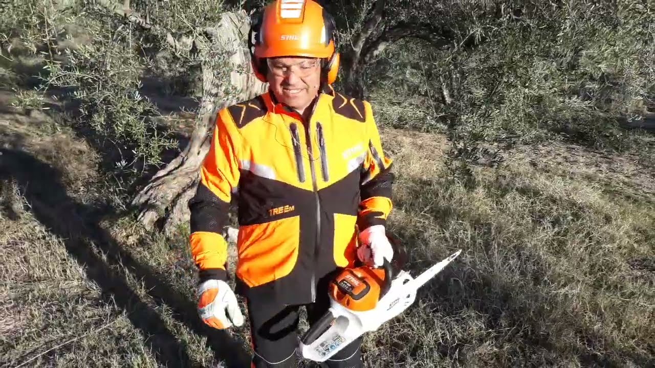 PODA OLIVO JAÉN VÍDEO 39 BIS