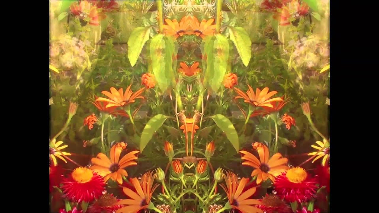 Doomenfels -- Heile Heile Säge