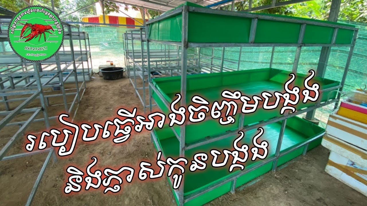 របៀបធ្វេីអាងចិញ្ចឹមបង្កងនិងភ្ញាស់កូនបង្កង How to make a shrimp pond and hatch baby lobster 085454021