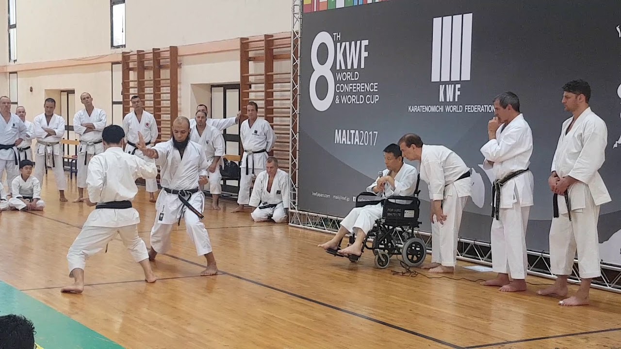Kwf world cup Malta 2017. Demonstration kumite by Otsuka sensei and Mourad sensei.