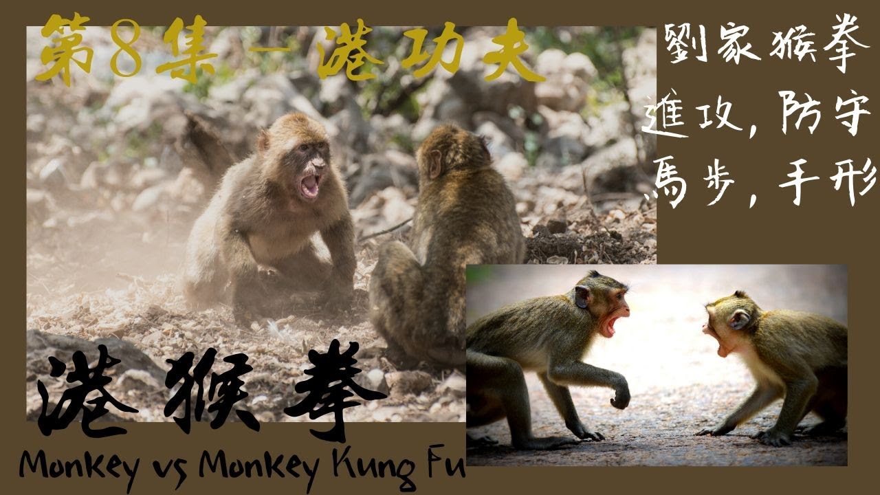 Monkey fist technique | Lau Kar Monkey fist's attack and defense fundamental | 劉家猴拳 - 進攻,防守,馬步,手形