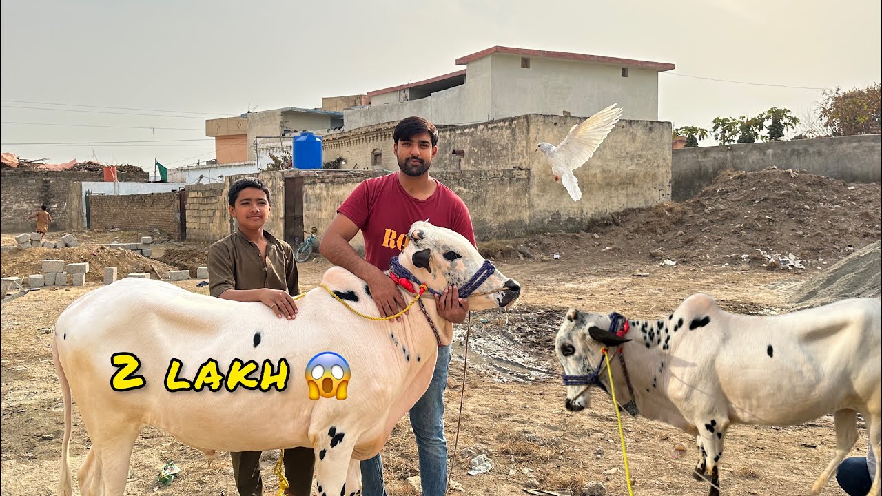 2 Lakh Ka bhi Nhi Dy Ga Ye 😃 Itna Mehanga🤔