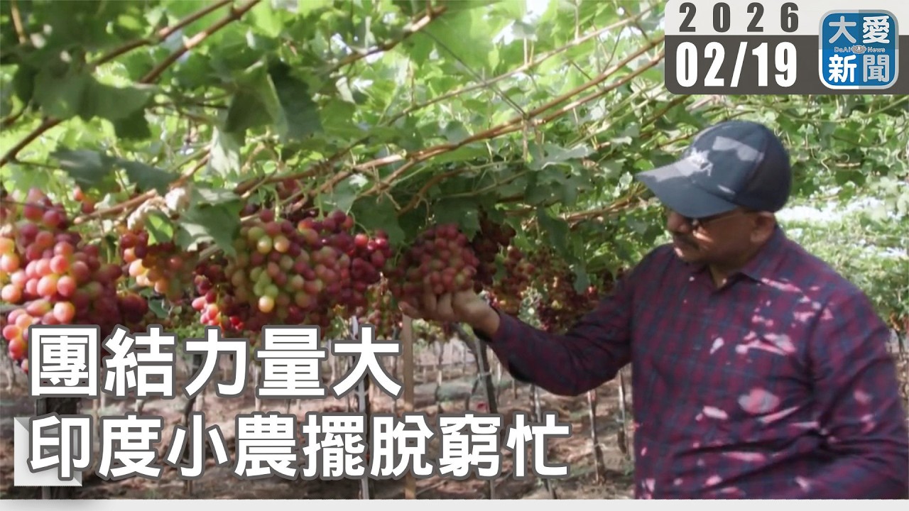團結力量大 印度小農擺脫窮忙｜#大愛新聞 #印度農業 #小農轉型