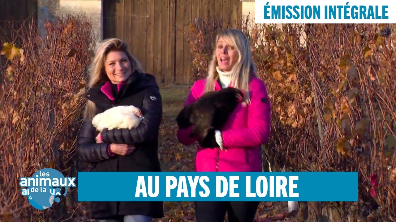 Du zoo de Beauval à la vallée de la Loire - Émission intégrale