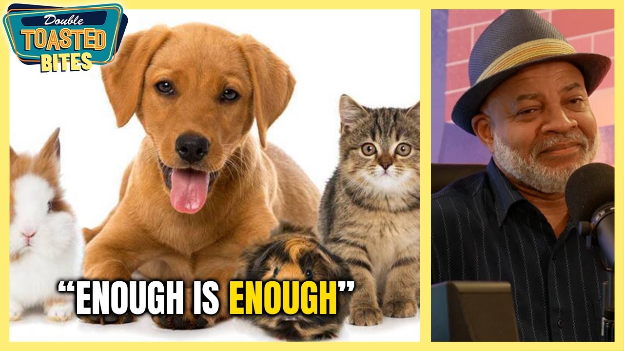 MARTIN'S DISLIKE OF PET STORIES | Double Toasted Bites