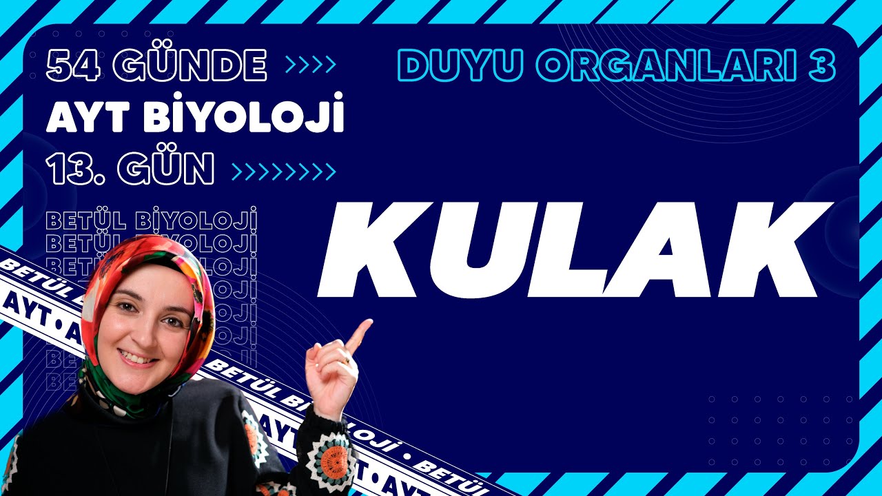13) Kulak | Duyu Organları | 11. Sınıf Biyoloji | 2024 AYT Biyoloji Kampı 13. Gün