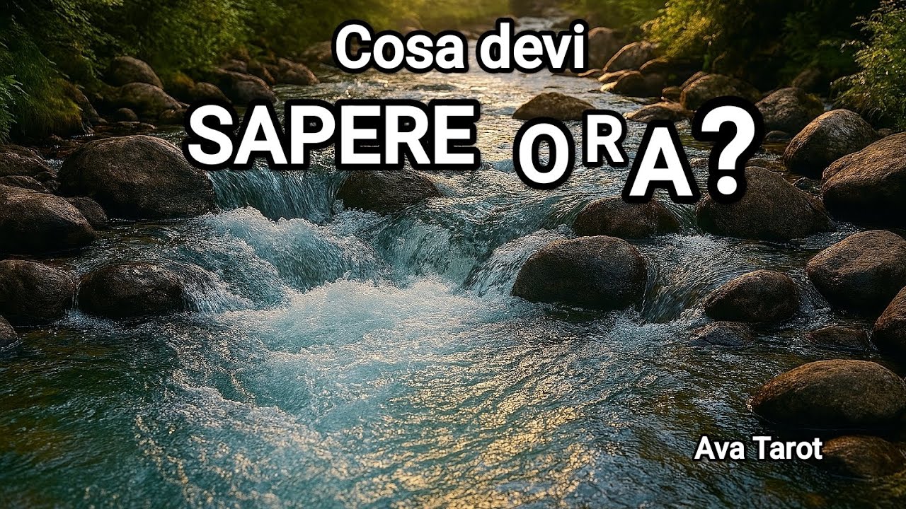 Cosa devi sapere ora?🪻@avatarot#tarot#tarocchi#tarocchiinterattivi#tarocchioggi#carte#messaggi