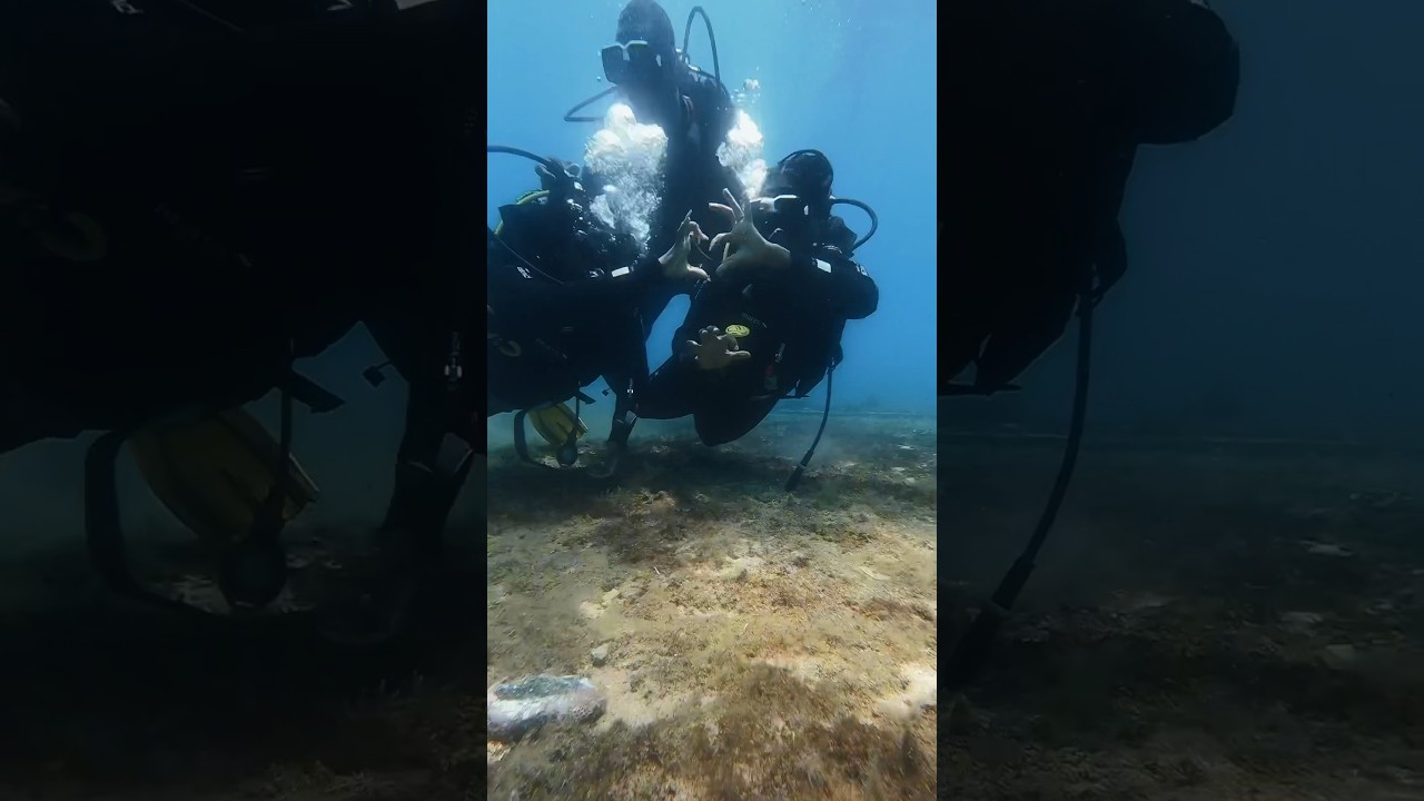 Scuba Diving in S&atilde;o Tom&eacute; and Pr&iacute;ncipe 🇸🇹 #travelvlogger #africa #travel #stellashanelly #shorts