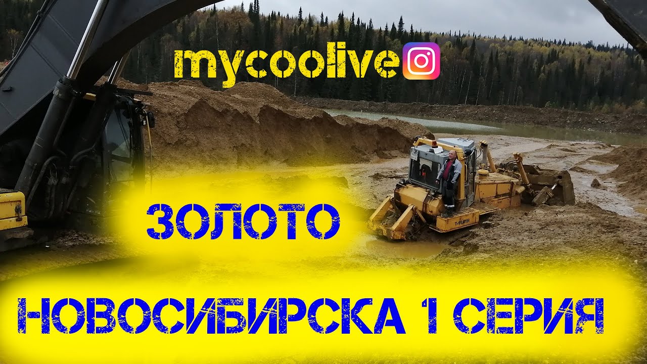 Золото Новосибирска 1 серия