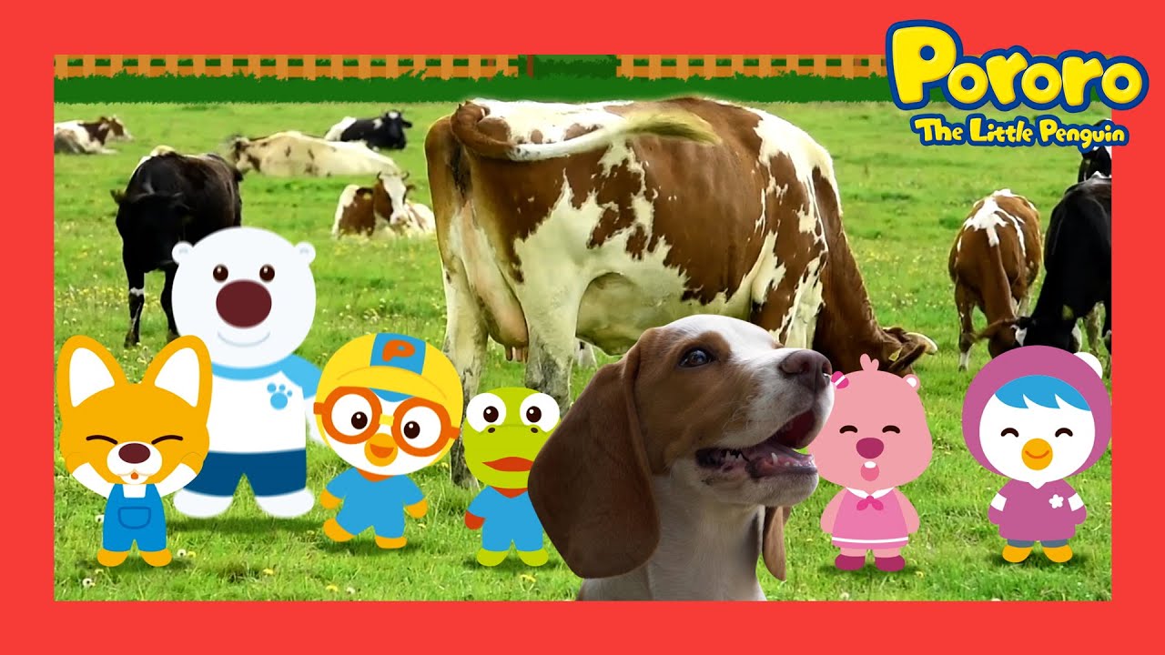 Real Life Pororo | #8 Old Mcdonald Had A Farm | Pororo and Animal Friends | Pororo Nursery rhymes
