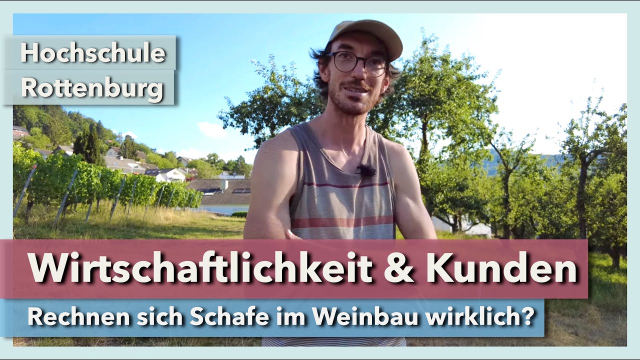 Wirtschaftlichkeit & Kundennutzen von Schafen im Weinbau | Hochschule Rottenburg | Rundgang 5 | 2022
