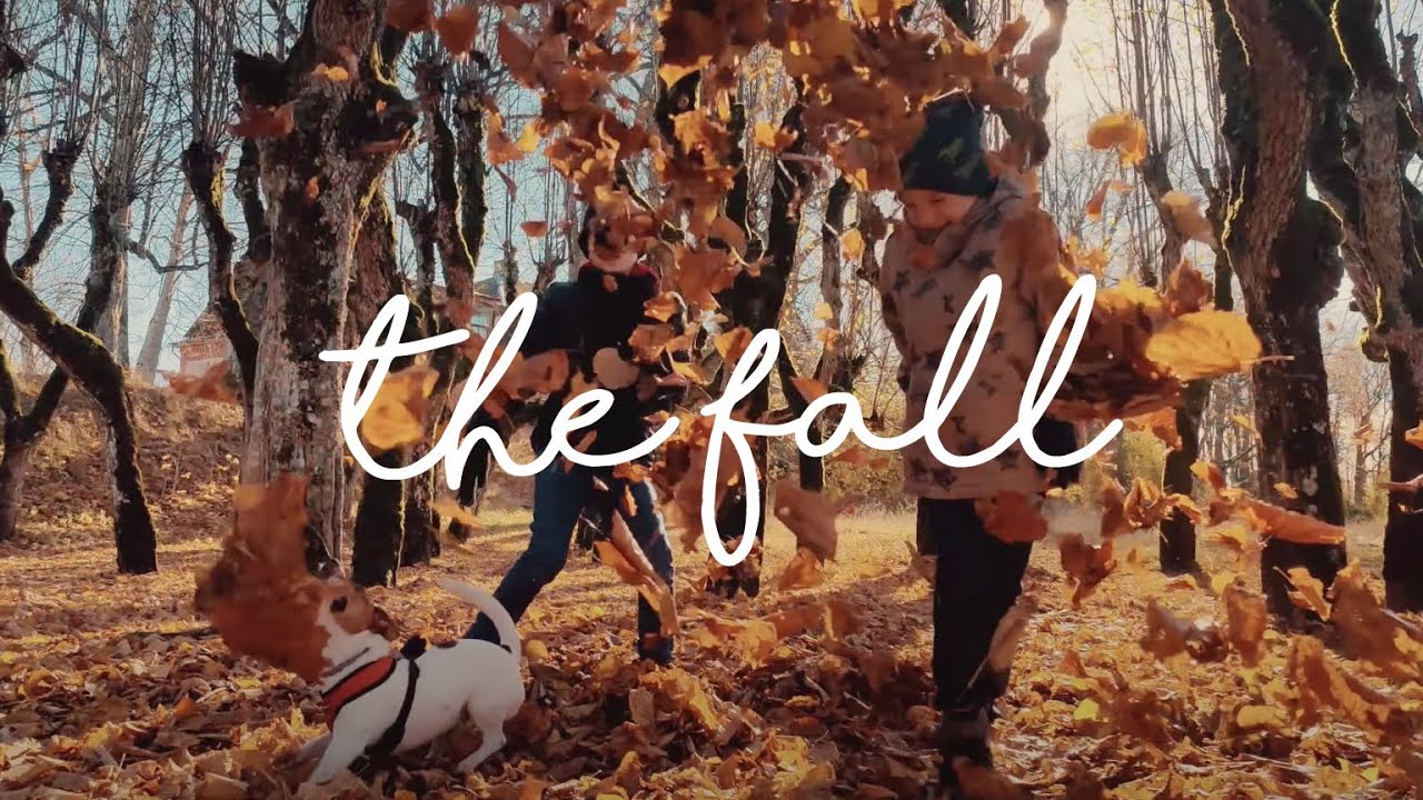 The Fall. (Cinematic video shot on OnePlus 9 Pro)