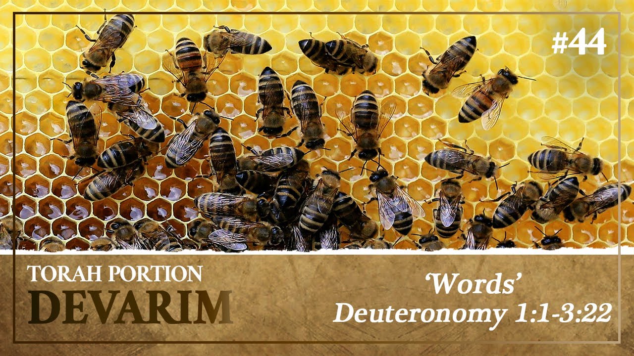 Deuteronomy - As Sweet As Honey: The Life-Giving Power of God's Word - Torah Portion Devarim
