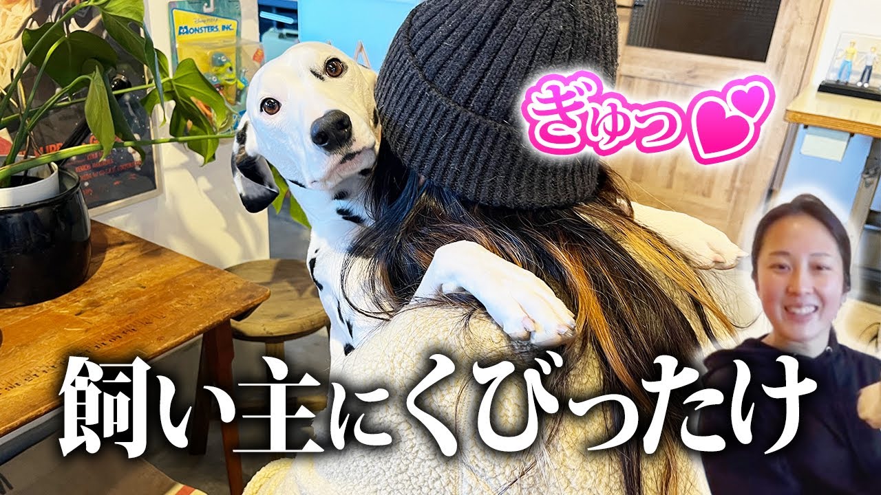 【飛び付き】指示を出しても“甘えてごまかす”場合の対処方法はこちら