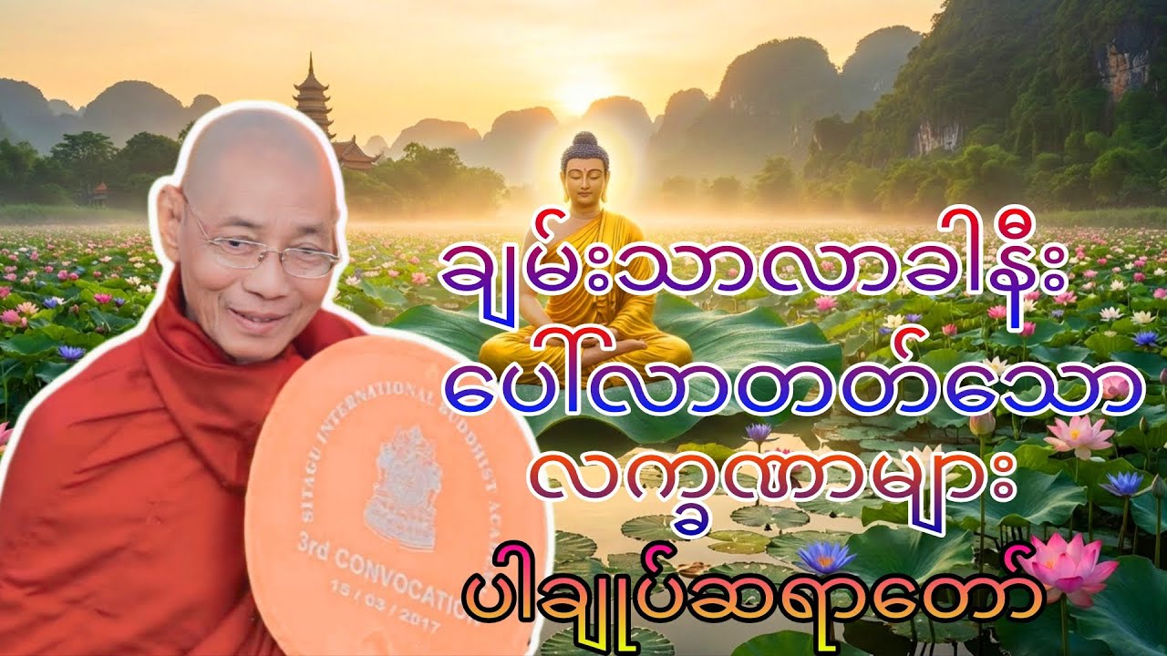 ချမ်းသာလာခါနီး ပေါ်လာတတ်သောလက္ခဏာများ ပါချုပ်ဆရာတော်#တရား #တရားတော်များ #buddhatayardaw #dhamma 