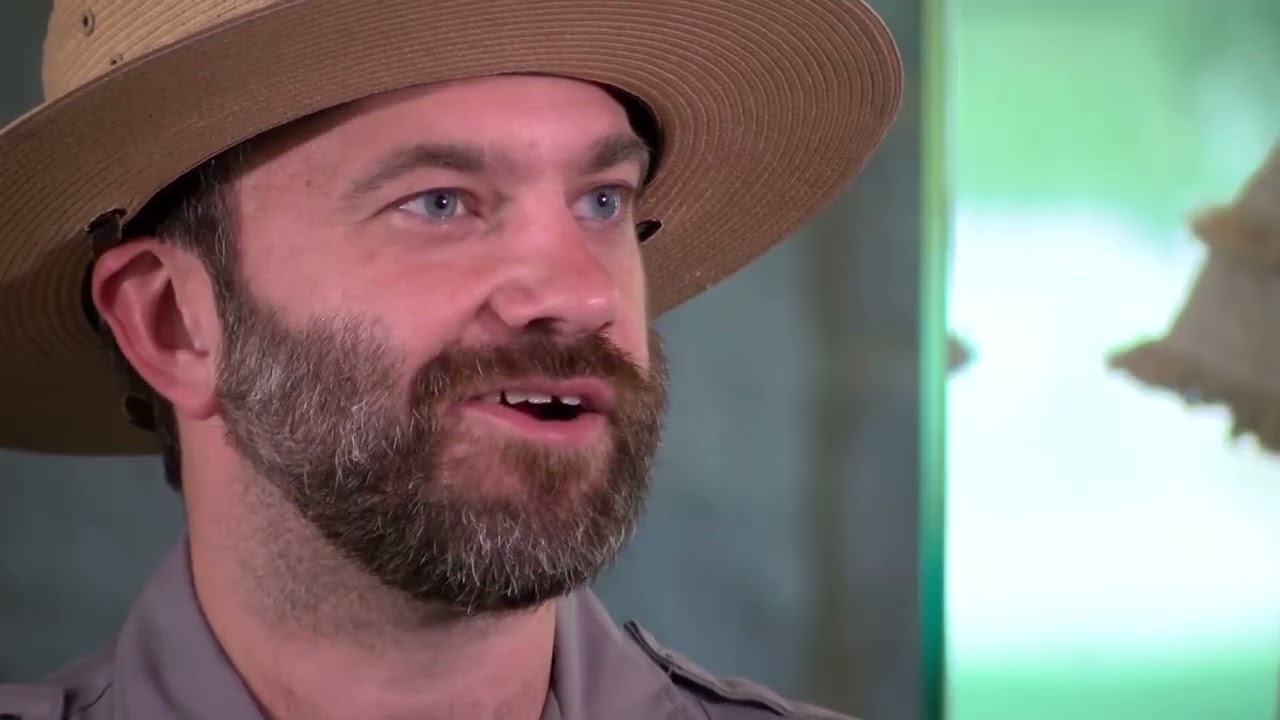 Битва при Кингс-Маунтин