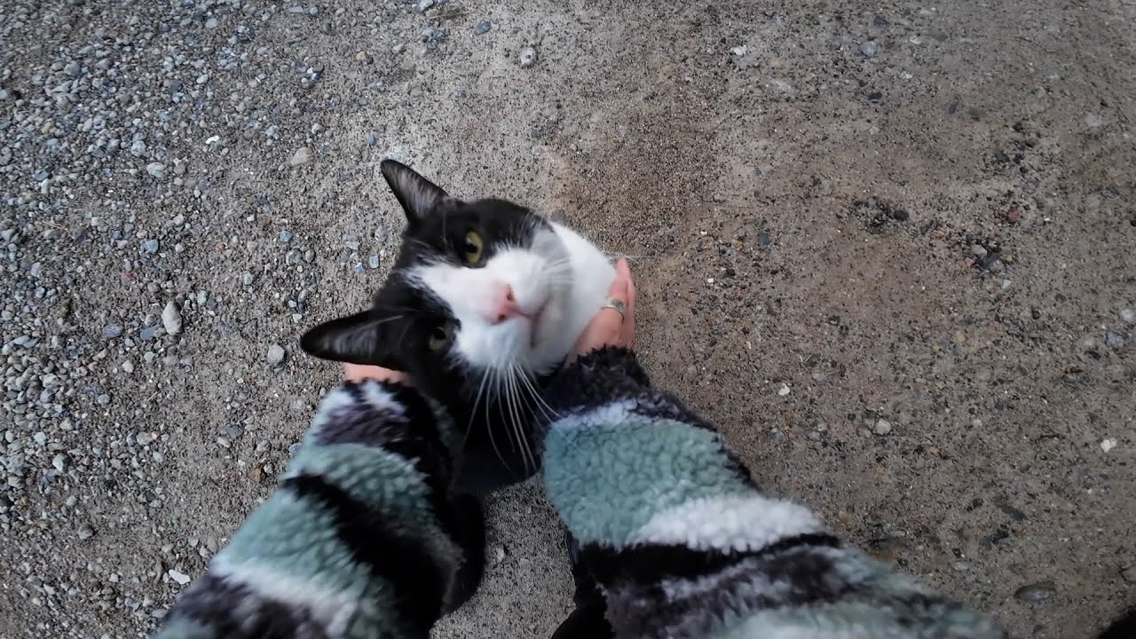 室生ダム