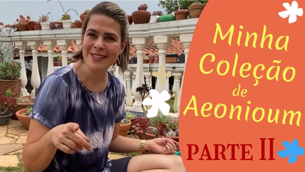 AEONIUMS em vasos de BARRO sozinhos: parte 2  /Grazi Bittencourt