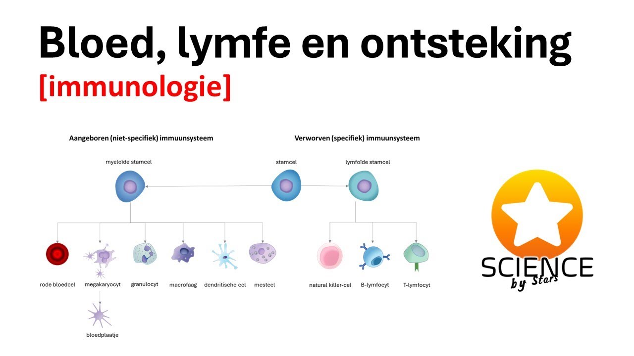 Bloed, Lymfe & ontsteking  [ Immunologie ]