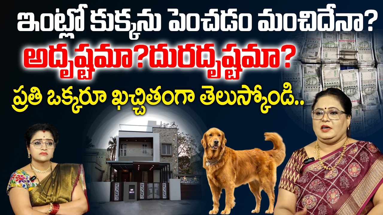Astrologer Tanushka - ఇంట్లో కుక్కనుపెంచడం అదృష్టమా?దురదృష్టమా? | @sumantvom