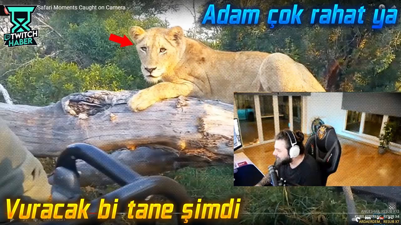 Elraenn - Safaride İnsanlara Saldıran Vahşi Hayvanları İzliyor!