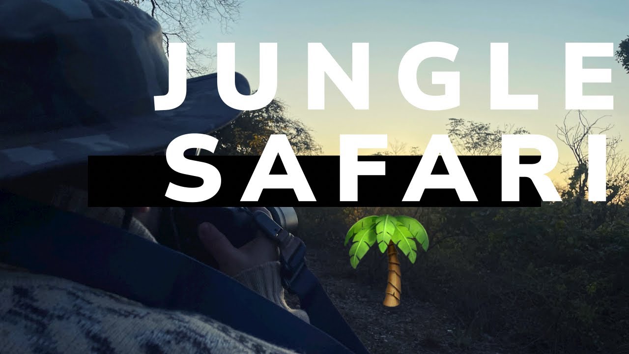 Jim Corbett Trip Vlog 🌴 *PART-1* 🐅 || RESORT STAY || UK BEAUTY 🏔️ || TRIP FUN 🤩 