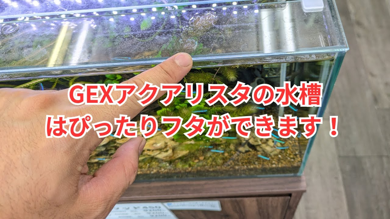 【ぴったりフタができる水槽を探している方へ】GEXアクアリスタの水槽をご紹介！