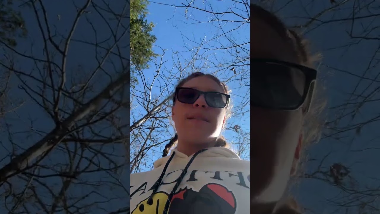 Went walking in the woods ￼