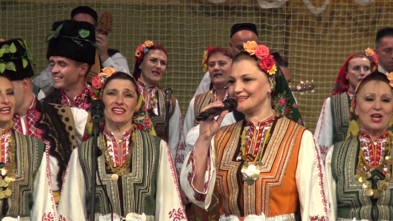 🎼Ансамбъл 