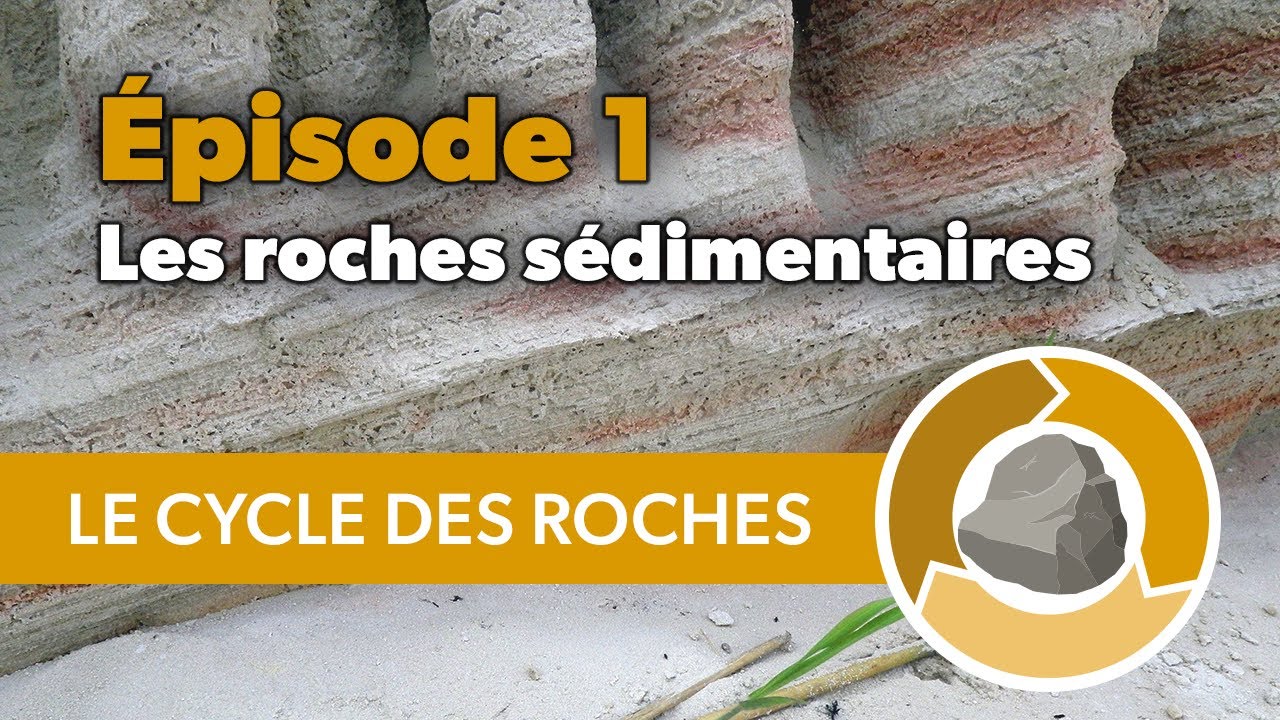 Le cycle des roches : &eacute;pisode 1, les roches s&eacute;dimentaires