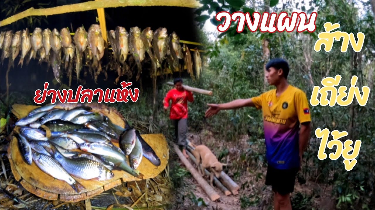 30 มกราคม ค.ศ. 2026 วางแผนส้างเถียงนานอ้ยไวยุกลับสาวแอร์😂😂//ວາງແຜນສ້າງຖຽ່ງນານອ້ຍໄວຍູພັກອາໄສThonBanNa