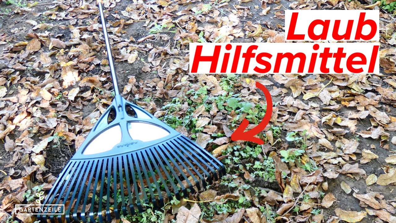 Laub Hilfsmittel - So erleichterst du dir die Arbeit! Unsere Empfehlungen!