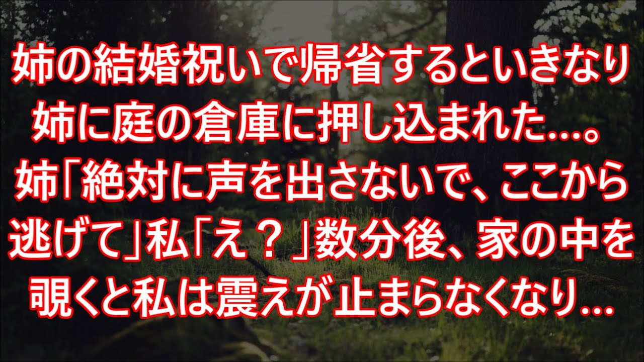 姉の結婚祝いで帰省するといきなり姉に庭の倉庫に押し込まれた…。姉「絶対に声を出さないで、ここから逃げて」私「え？」数分後、家の中を覗くと私は震えが止まらなくなり…