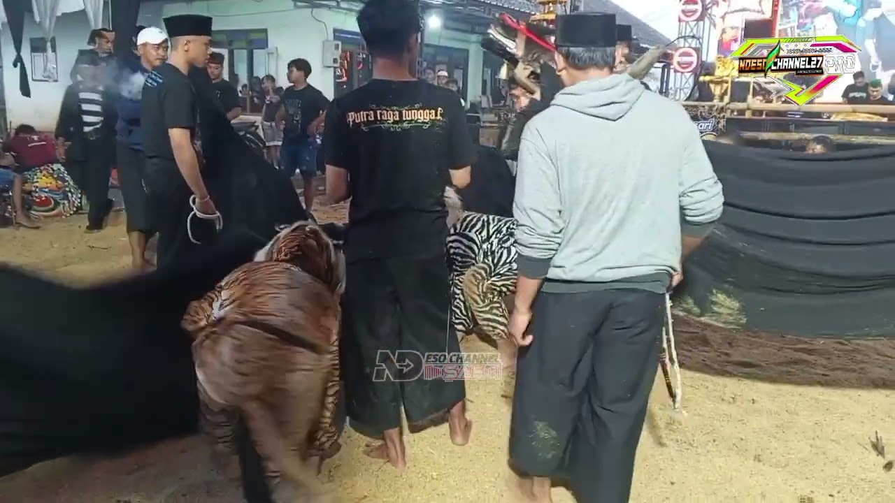 Putra Raga tunggal versi terbaru live gadingkulon Dau Malang 10 Januari 2026