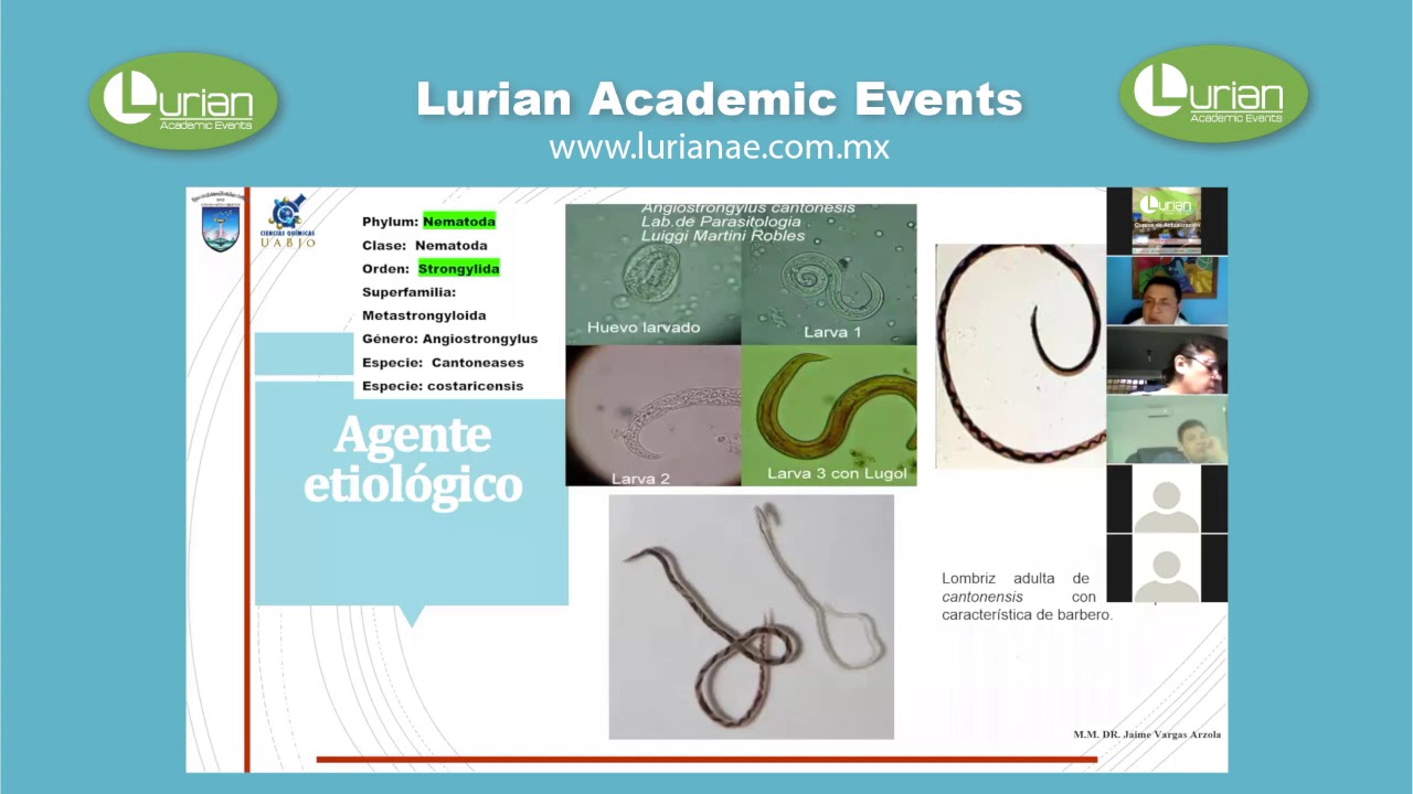 💻 CONFERENCIA VIRTUAL 🎬 | Angiostrongilosis Parasitosis | desatendida y poco conocida en México.