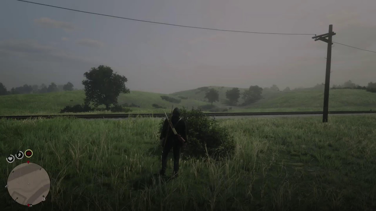 Red Dead Redemption 2 Free Roam PS5 Livestream